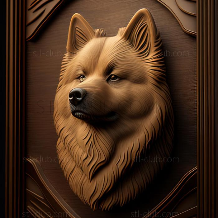 st Eurasier dog